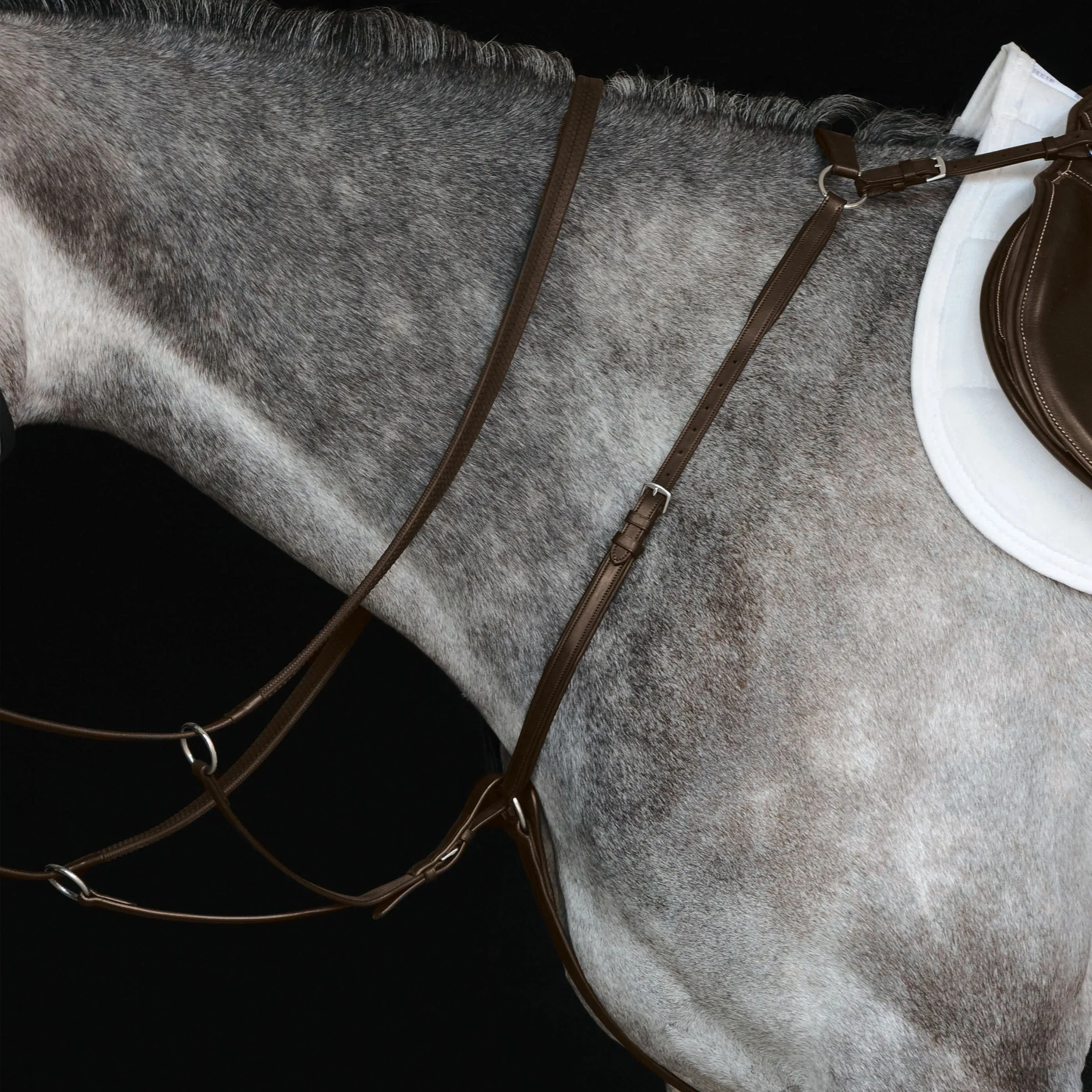 Collegiate IV Hunter Breastplate