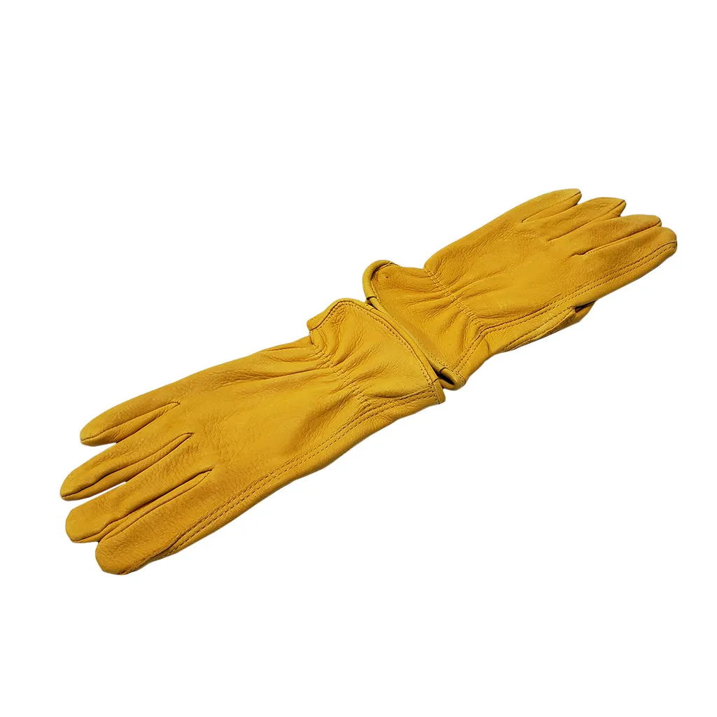 Leather Handler's Gloves